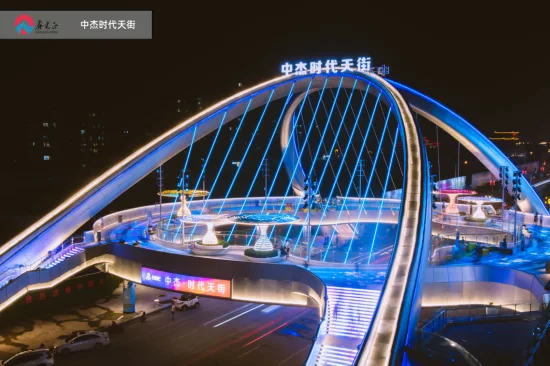 中国のメーカーからのカスタム設計の高架横断鋼構造橋