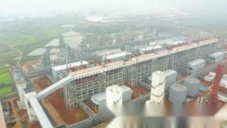 循環流動層ガス化炉 80000nm3/H 中国製